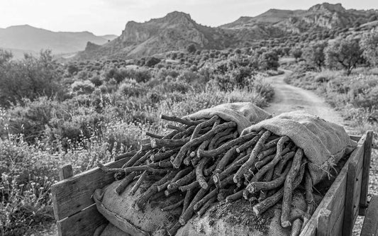 Natural vs Artificial Licorice: What's Actually in Your Candy?